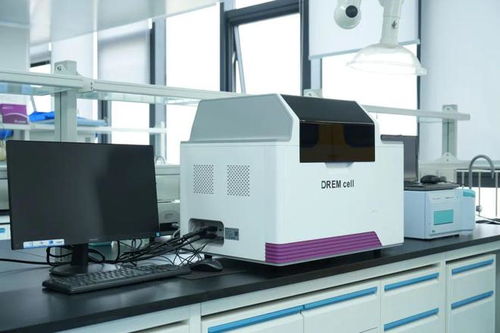 蓉耀未來 掌握合成生物 密碼 ,成都企業打造 細胞工廠 ,沖刺10億元產值目標