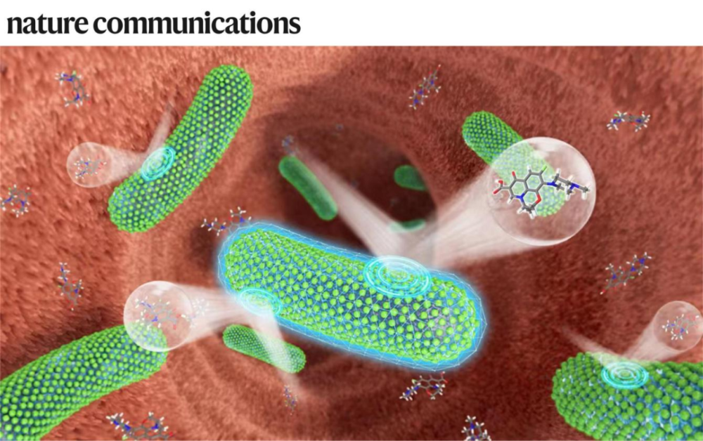 專(zhuān)訪(fǎng)郭俊凌丨川大/哈佛團(tuán)隊(duì)合作開(kāi)發(fā)植物多酚納米材料,可保護(hù)益生菌免受抗生素殺傷,相關(guān)LBP活體生物藥計(jì)劃推進(jìn)臨床I期