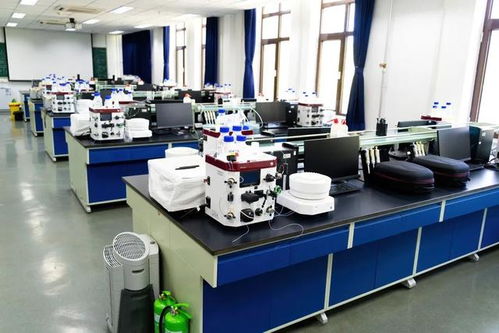 藏在清華教學(xué)樓里的 動(dòng)物世界