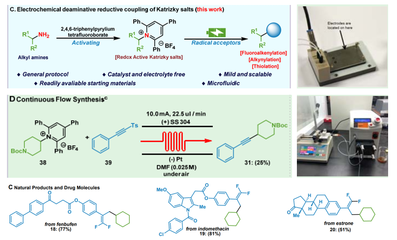 生物與制藥工程學院郭凱教授團隊在Nature Communications報道微流場電化學合成領(lǐng)域新進展