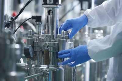 戰(zhàn)新產業(yè)&ldquo;百大工程&rdquo;|招商局集團領航生物基聚酰胺創(chuàng)新突破 打造生物經濟新引擎