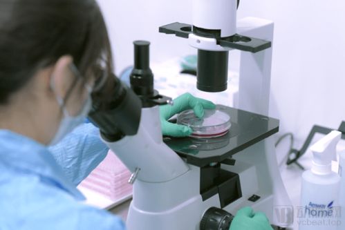 打造產業鏈 惠邦生物以獨創能力加碼IVD創新產品研發，持續發力原料市場與生物基材料技術研發