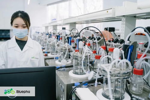 藍(lán)晶微生物獲15億元B輪系列融資，元生資本與混改基金領(lǐng)投，加速生物基材料研發(fā)