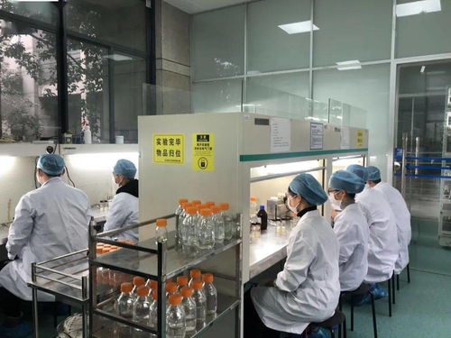 生物選考沖刺提分秘籍 高中生物實(shí)驗(yàn)訓(xùn)練營寒假開啟，助力未來生物基材料技術(shù)研發(fā)