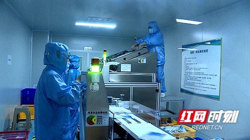 湖南省微生物學(xué)會(huì)赴安調(diào)研，推動(dòng)生物基材料技術(shù)研發(fā)創(chuàng)新